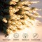 100-Count 25ft Clear Mini Christmas String Lights – Warm White Incandescent Bulbs on Green Wire, Indoor & Outdoor Holiday, Birthday, Wedding, and Party Decoration (Clear Warm White)
